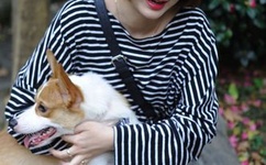 天天怕夜夜吃吃香蕉